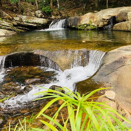 Pepper Garden Resort إيلا المظهر الخارجي الصورة