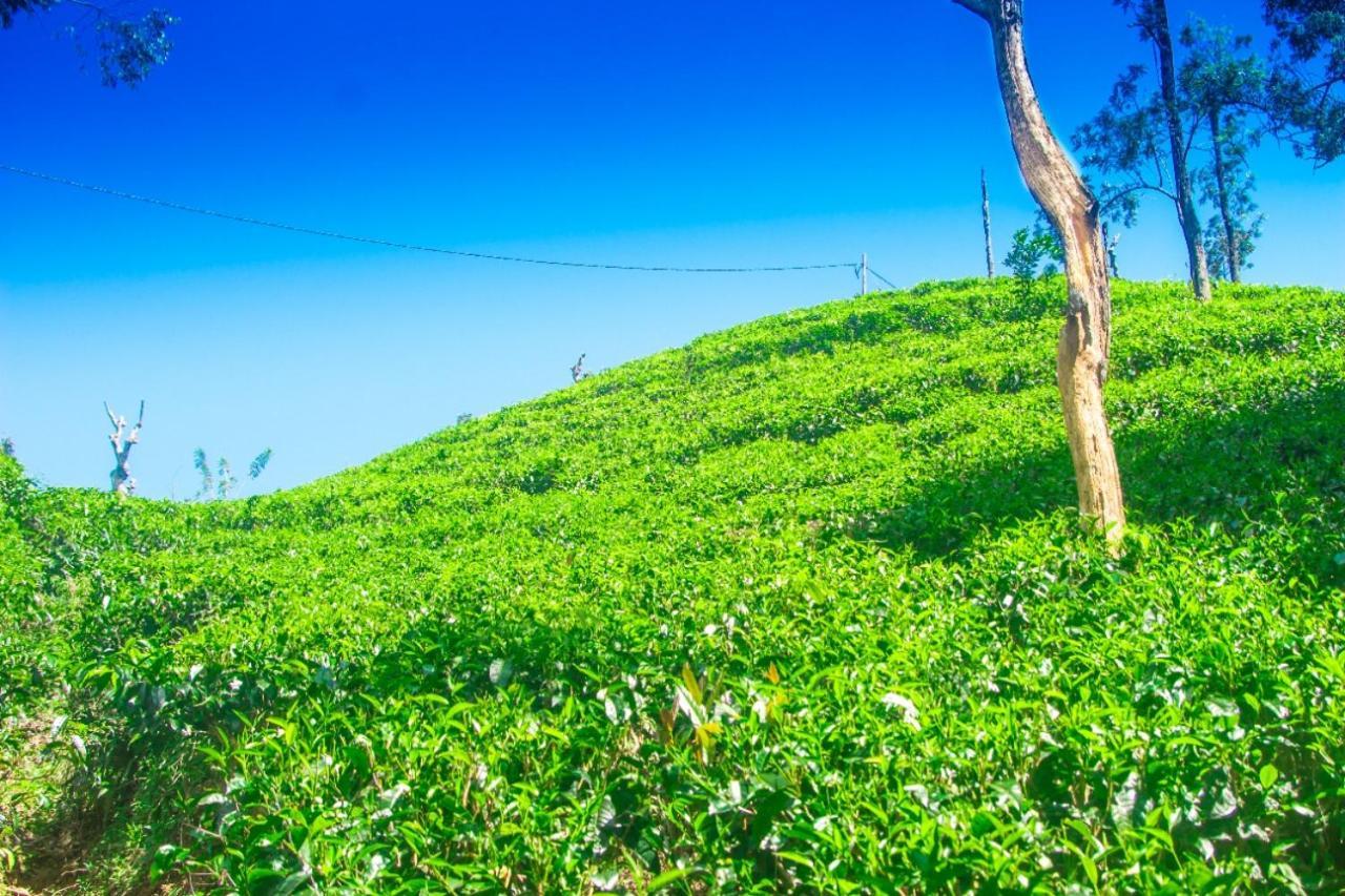 Pepper Garden Resort إيلا المظهر الخارجي الصورة