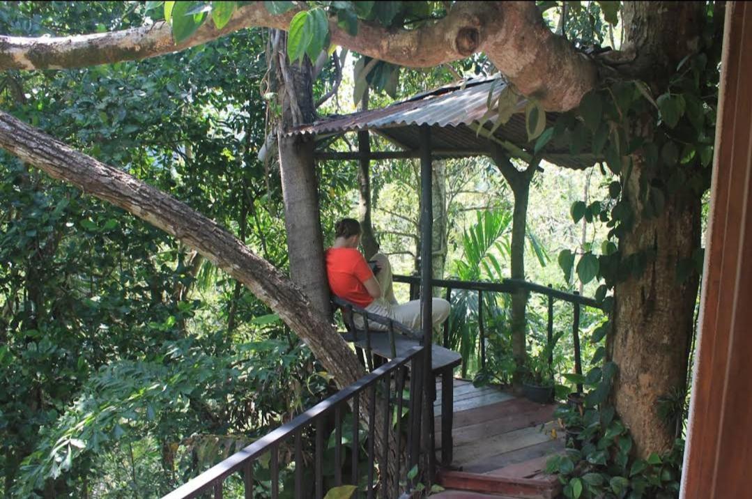 Pepper Garden Resort إيلا المظهر الخارجي الصورة