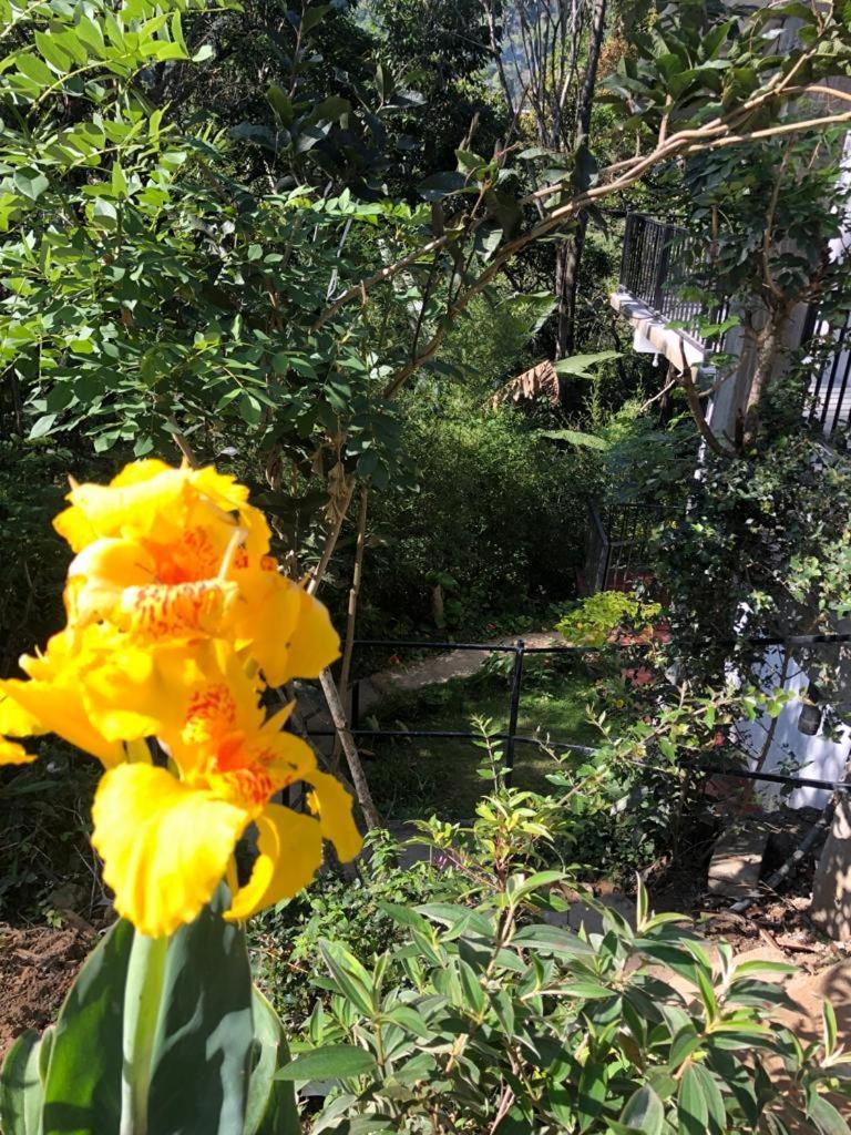 Pepper Garden Resort إيلا المظهر الخارجي الصورة