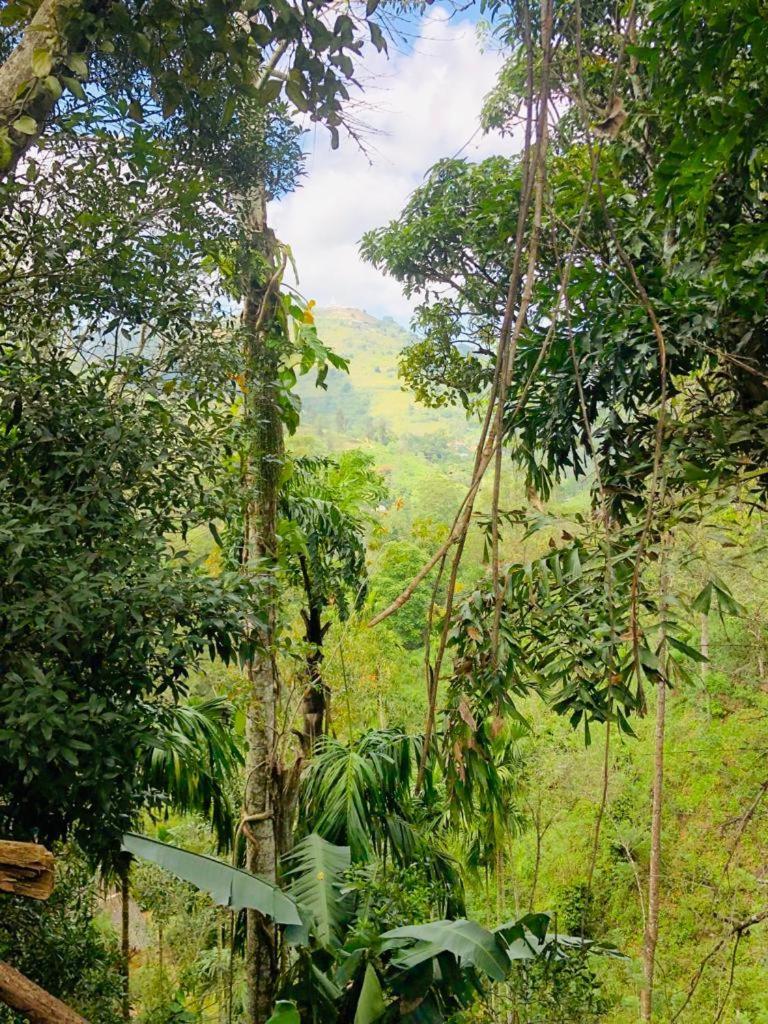 Pepper Garden Resort إيلا المظهر الخارجي الصورة