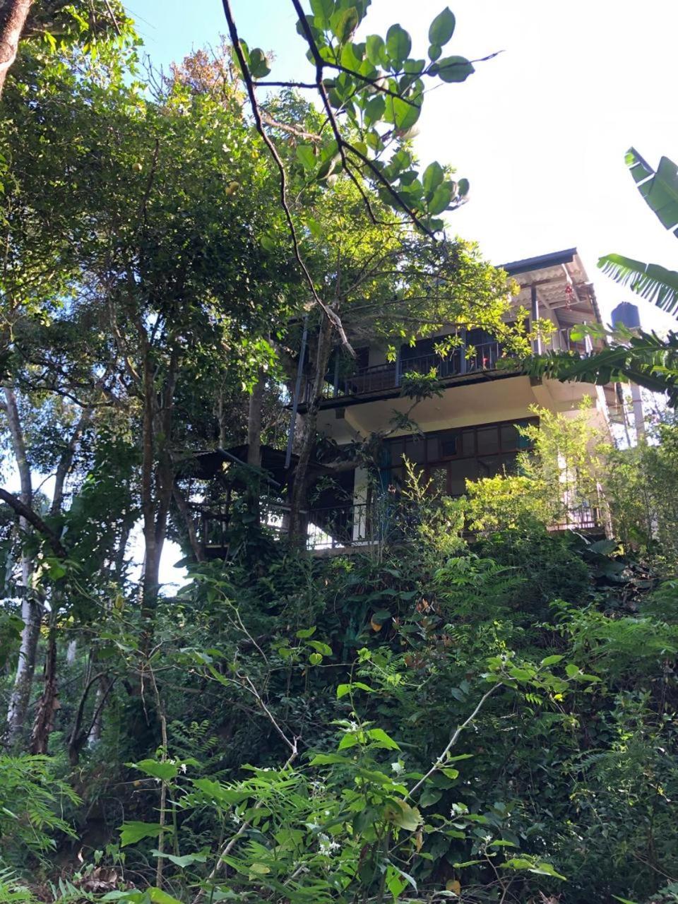 Pepper Garden Resort إيلا المظهر الخارجي الصورة